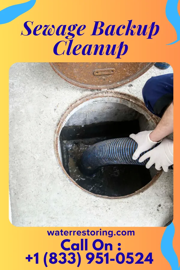 Sewage Backup Cleanup in West Vero Corridor, FL